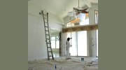 Your Phoenix Painter-Paint