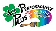 Ace Performance Plus Painting