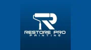 Restore Pro Painting