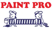 Paint Pro