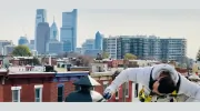 Pinnacle Painters